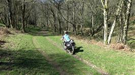 John speeds through the woods on the track to Seltworthy
