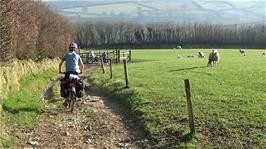 The bridleway "short-cut" to Exford continues