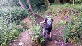 Dillan negotiates the muddy track through Burchetts Wood