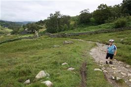 The rough track from Slater's Bridge to Fell Foot Bridge, Little Langdale
