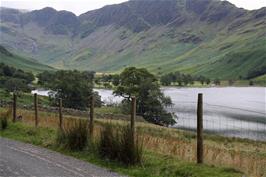 The Buttermere Pines at the eastern end of Buttermere lake