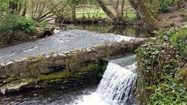 Weir and leat in Broadridge Wood