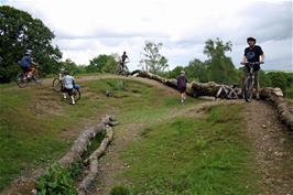Investigating the destruction of the mature trees on Hembury Fort