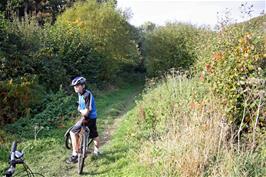 Dillan on the Avon Railway path