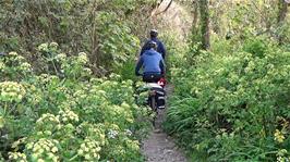 Approaching Land's End Youth Hostel along an interesting shortcut found by George