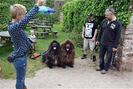 We think these two exceptional dogs are Newfoundlands, just two of the many dogs at Cockington today