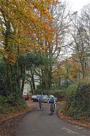 Autumn colours on Furzeleigh Lane, Bovey Tracey