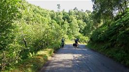 The quiet, woody, scenic road along Achany Glen