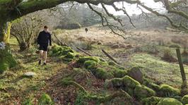 Dillan tries to find a novel way back to the river through the boggy marshes, ending up with drenched feet