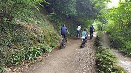 The cycle path from Dartington to Totnes
