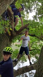 Dillan, Jude and George up a tree