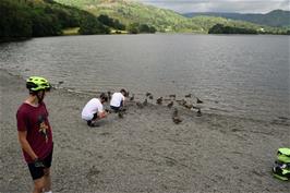 Jude, Tao and George feed the ducks on Grasmere lake