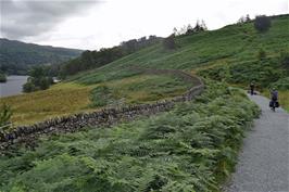 Dillan follows the cycle path around Rydal Water towards Ambleside