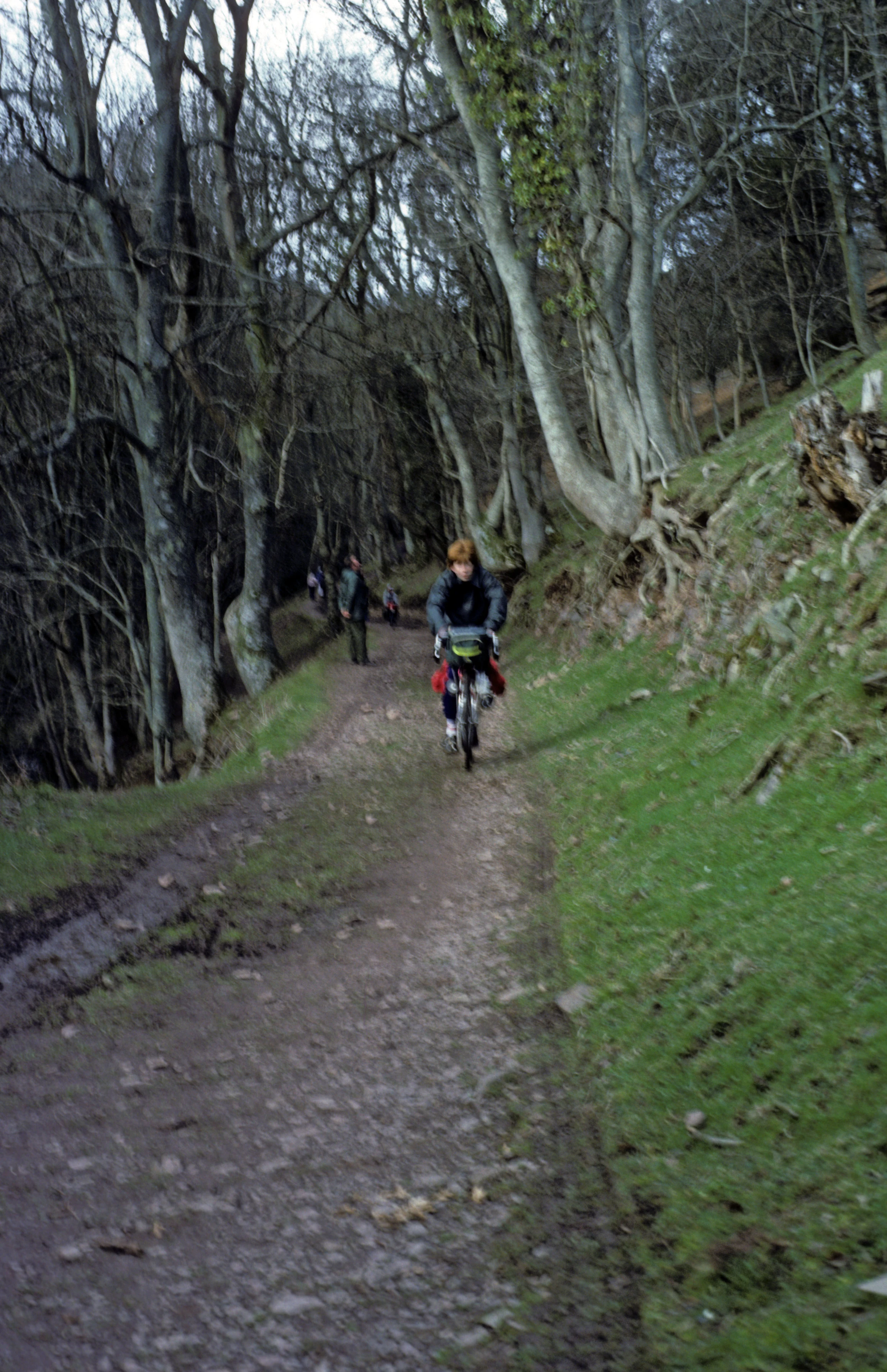 Philip Mills leads the bumpy descent through Selworthy Combe’s woods towards Selworthy.