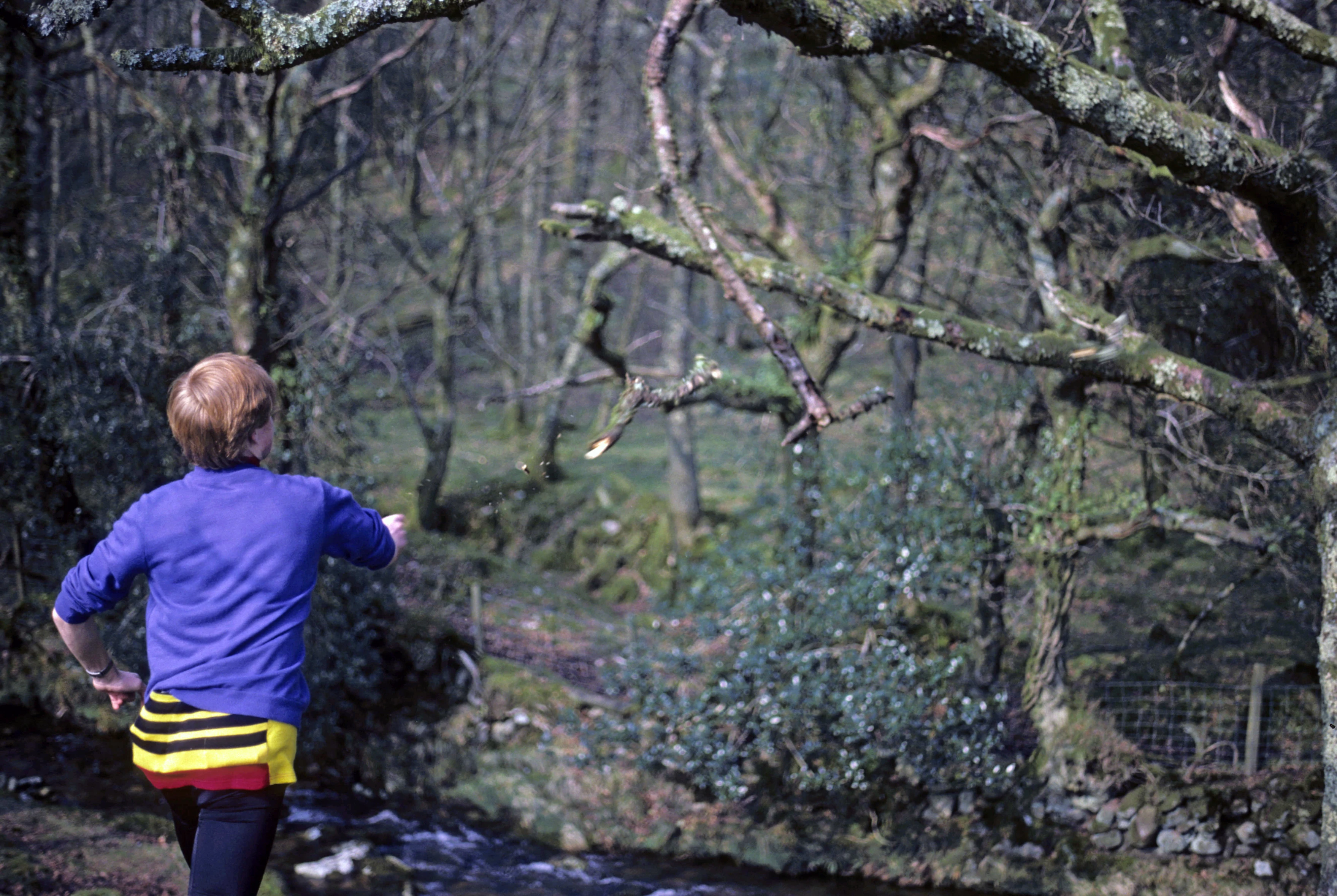 Richard Burge hurls his branch at the dead branch over Glaze Brook, near Owley.