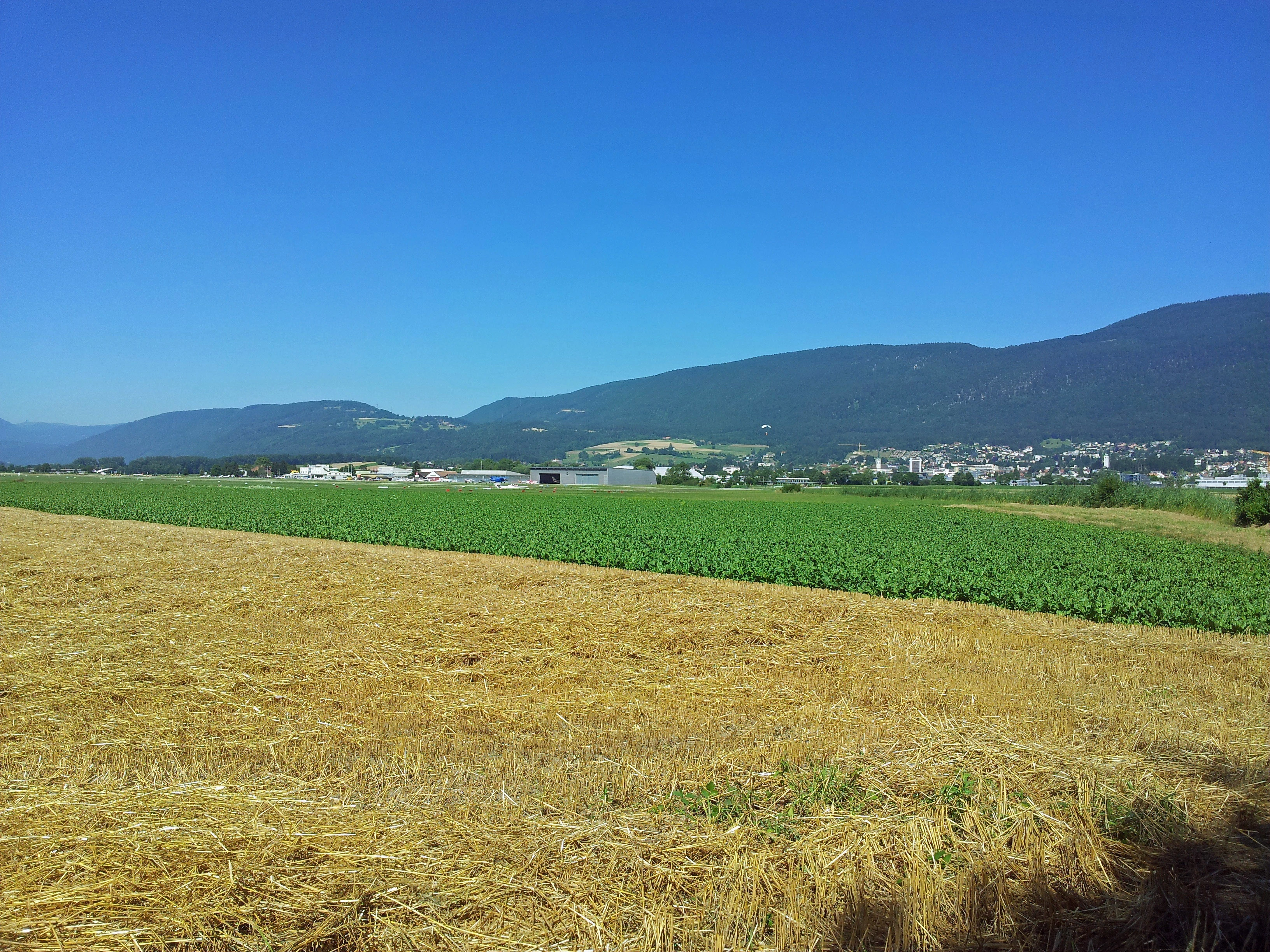 Grenchen Airfield, planes dropping paragliders for gentle descents.
