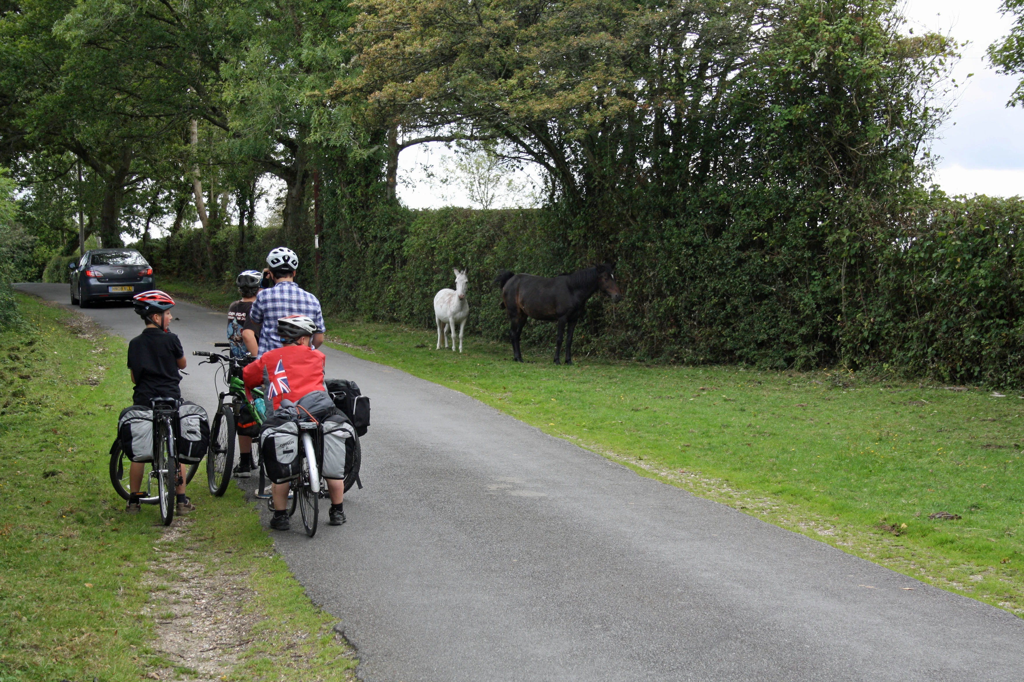 Ponies take turns manuring the verge on the road to the Rufus Stone