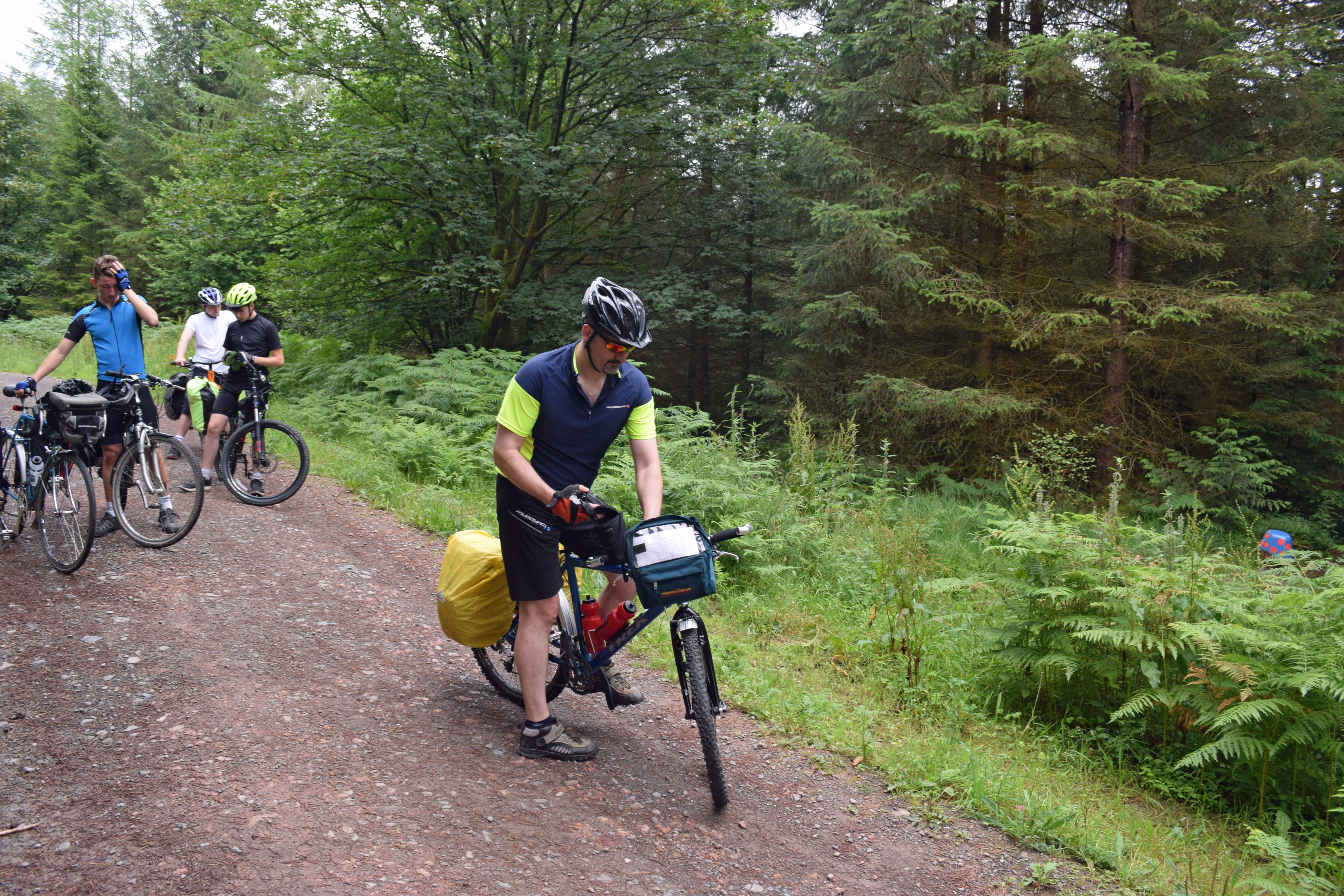 Discovering our first Grizedale Forest sculpture