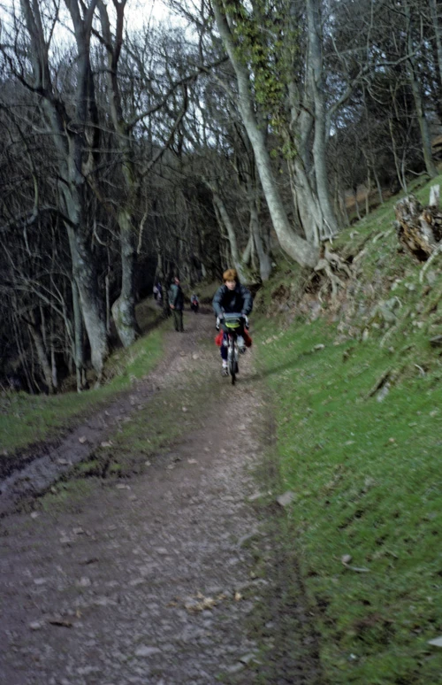 Philip Mills leads the bumpy descent through Selworthy Combe’s woods towards Selworthy.
