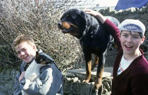 Paul Williams and David Parry befriend the locals’ dogs in Lynton before the climb to Blackmoor Gate.