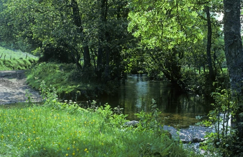 The River Bovey entering the ford at North Bovey