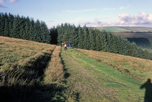 Mark, Simon and Vicky pedal the Dunnabridge to Bellever track towards Laughter Hole in autumn sunshine.