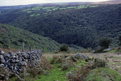 Looking down from Bel Tor Corner to Doctor Blackall’s Drive and the unspoilt Dart Valley.