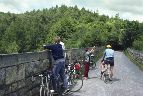 Mark chats to Richard Hopper on Bickleigh Viaduct, the Plym Valley Path’s second. Luke and Richard Burge watch.