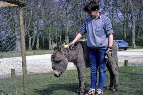 Gary’s turn to fuss the friendly donkey opposite the Rufus Stone—far more popular than the stone.
