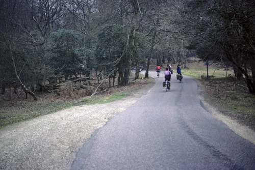 The group on Bolderwood Arboretum Ornamental Drive, near Mark Ash Wood.
