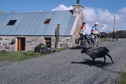 Jeremy, Darrel, Andrew B and Graham with Fearnmore Wools’ proprietor, as his black sheep crosses.
