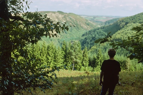 Mark S admiring magnificent views east along the Teign Valley towards Clifford Bridge, from the upper Cranbrook track.