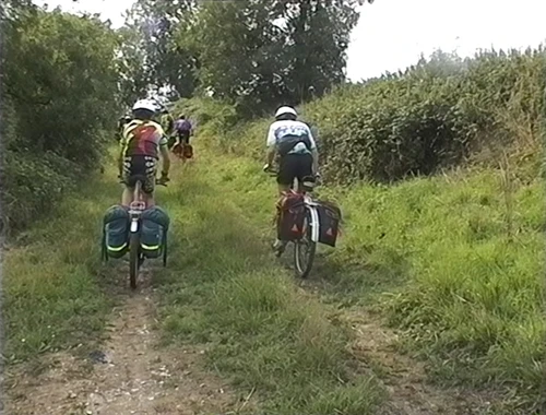 Enjoying a thorn-free stretch of Holgate Road.