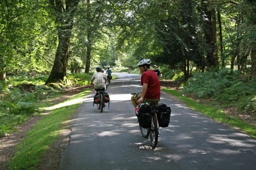 Rhinefield Road, 6.9 miles into the ride.