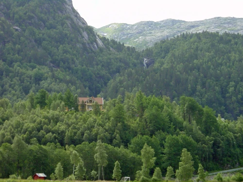 This hillside beauty near our Hellandsbygd Guest House caught Oliver’s eye as we left.