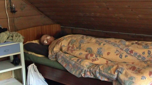 Olly luxuriates in our cosy loft at Hellandsbygd Guest House.