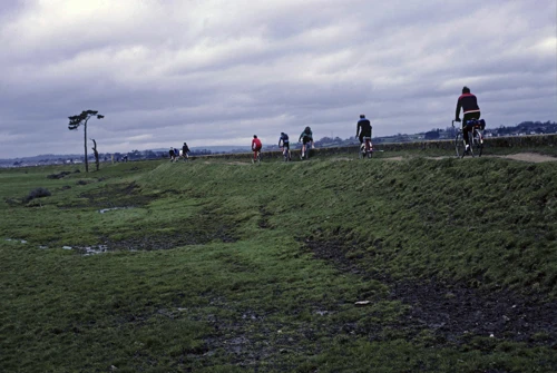 Riding the Exe path from Starcross.