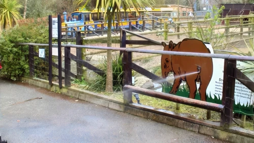 This tapir squirts at everyone passing by.
