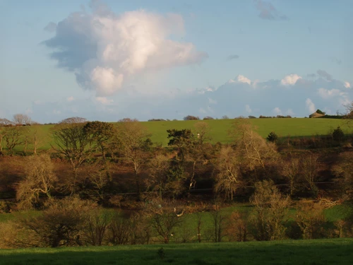 Horses in idyllic pasture near St Michael Caerhays, 26.4 miles in.