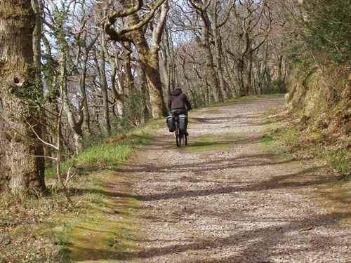 Zac on the coast path to Woody Bay
