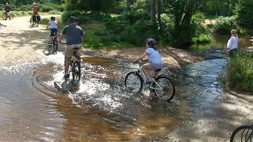 A family of cyclists breeze across the ford without fuss.