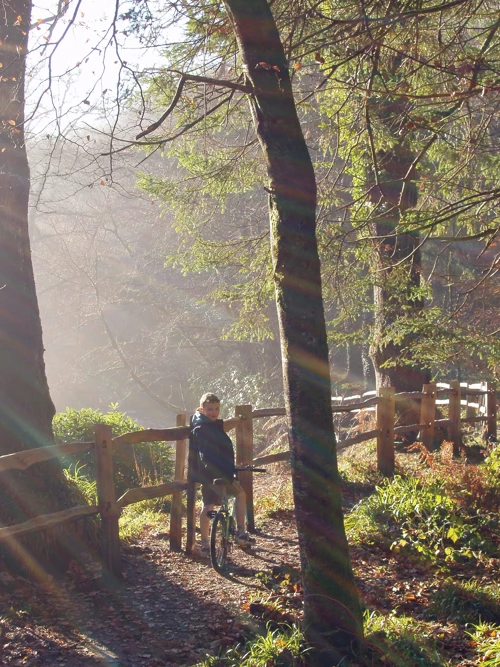 Fabulous light as Kane pauses on the riverside path through Hembury Woods.
