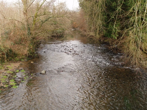 Looking north from the bridge towards Diptford.