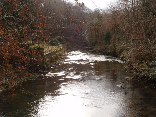 Looking south from the bridge towards Loddiswell.