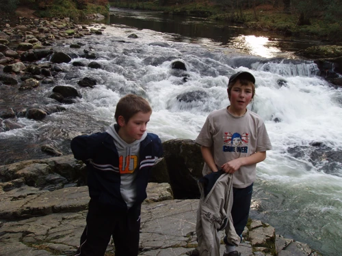 Beside the River Dart in Holne Woods.