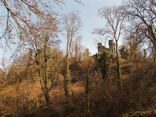 Berry Pomeroy Castle, viewed from below.