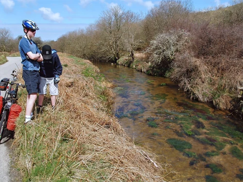 Delightful scenery: the River Fowey beside the Bolventor road.