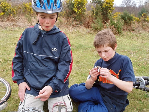 Josh and Dennis in the lofty upper reaches of Hembury Woods.