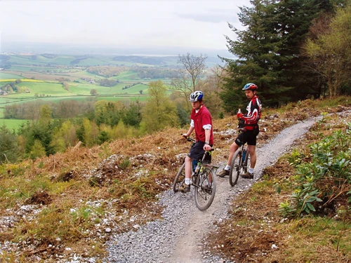 View across the Exe Estuary from the Mamhead Obelisk track.