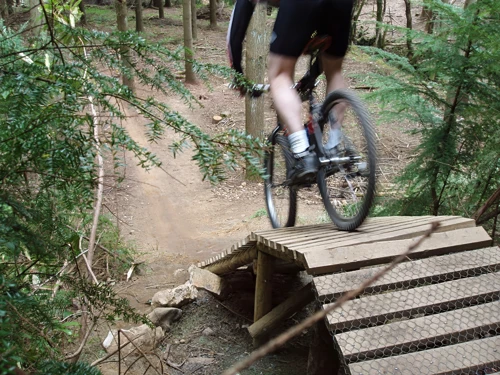 Tao tackles the black-run ramp at the new Haldon Forest Park.